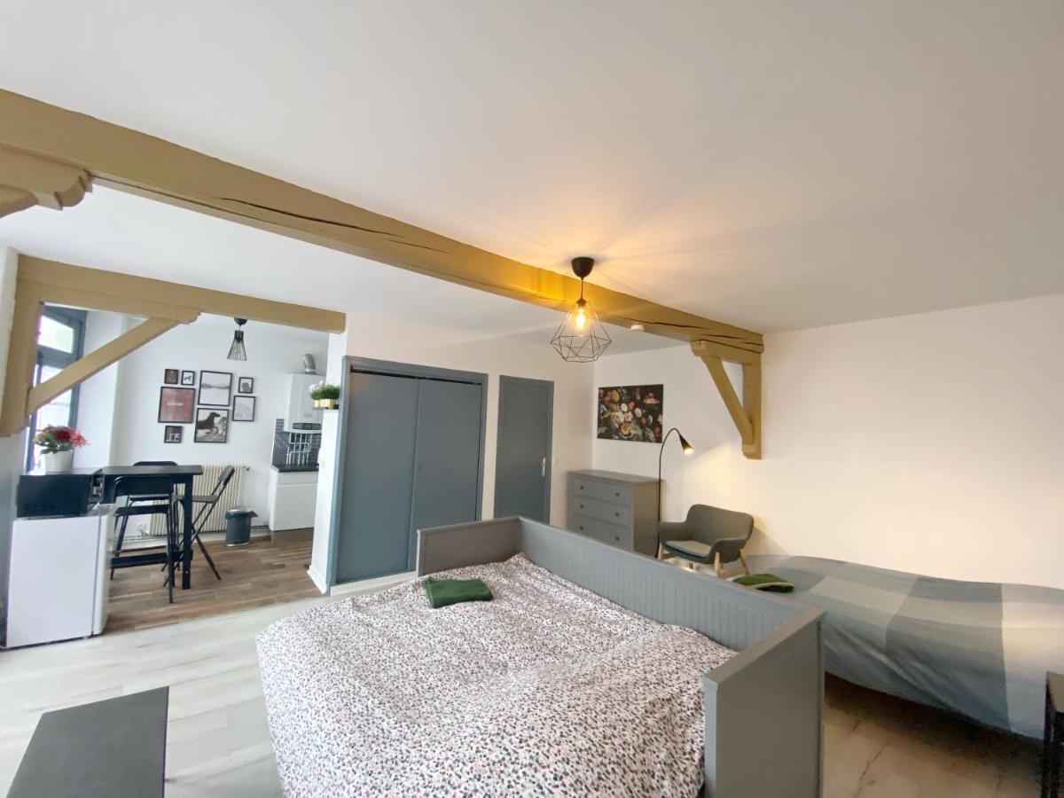 015 Chic & Cosy Studio 41M2 Hypercentre Wifi Smart Tv Netflix Saint-Etienne  Exterior foto