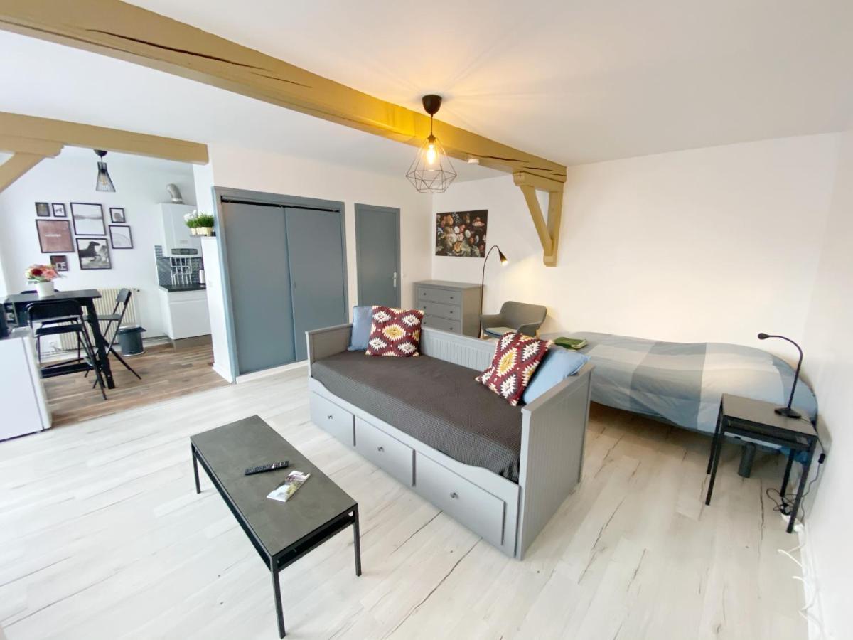 015 Chic & Cosy Studio 41M2 Hypercentre Wifi Smart Tv Netflix Saint-Etienne  Exterior foto